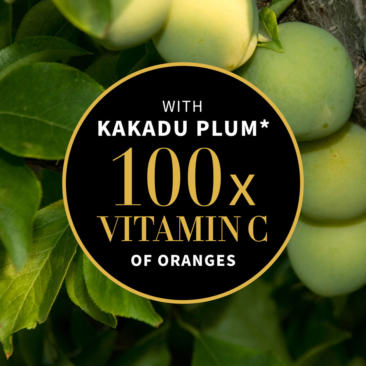 Kiwi Seed Gold Luminous Eye Cream 30ml