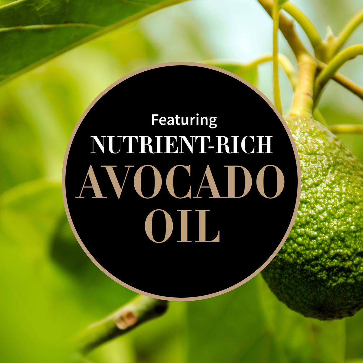 Avocado on a tree branch with 'Nutrient-Rich Avocado Oil' text overlay